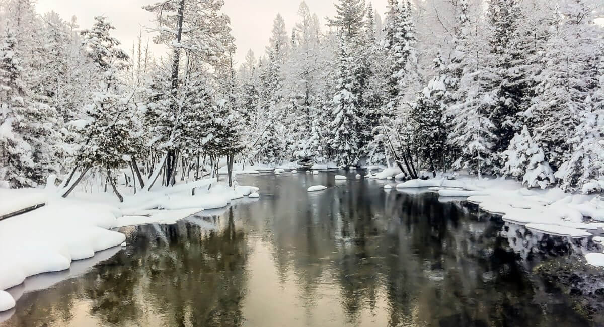 Fresh snowfall on the Cedar River