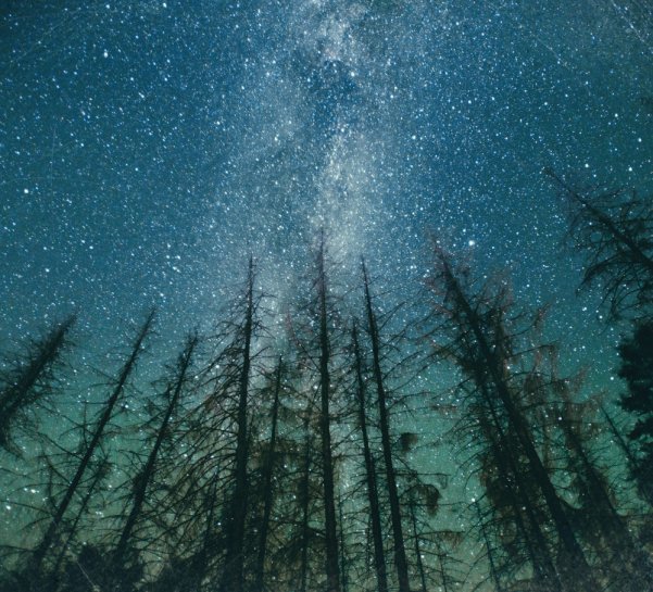 starry night in northern Michigan