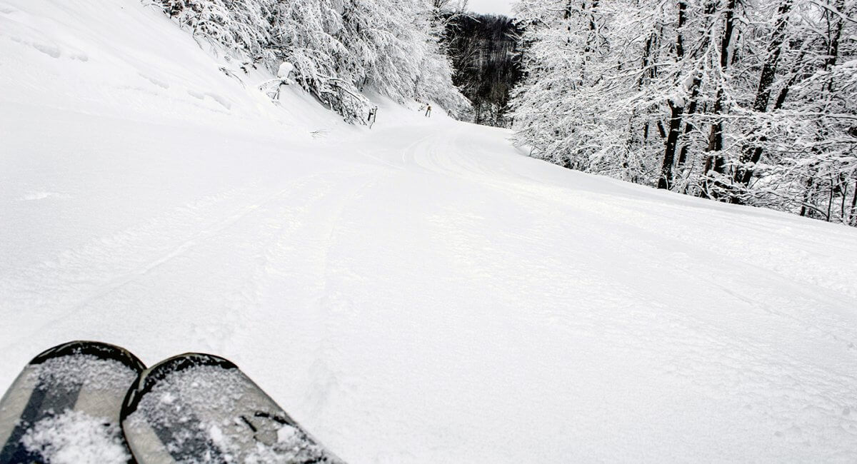 Rossingol skis looking down the hill