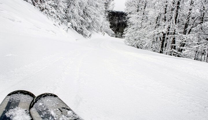 Rossingol skis looking down the hill