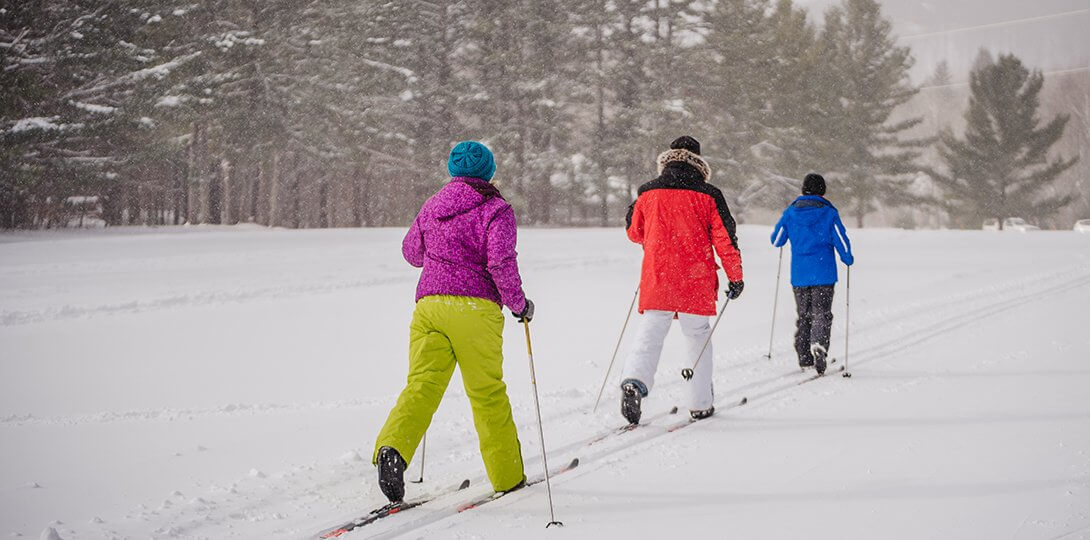 Group of 3 Nordic Skiing