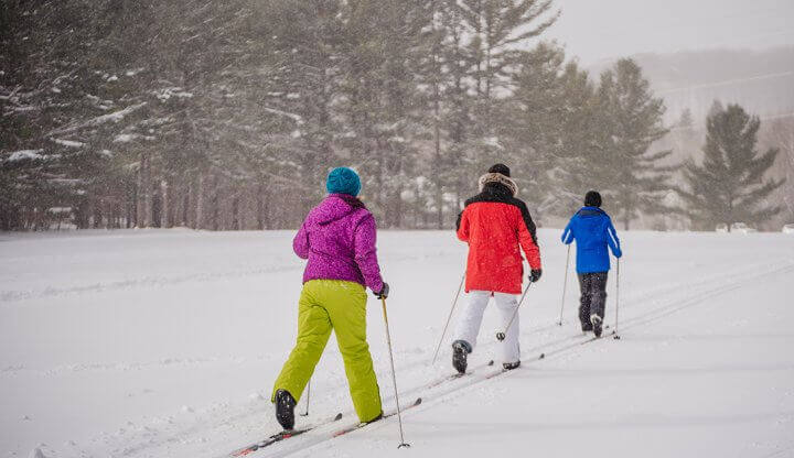 Group of 3 Nordic Skiing