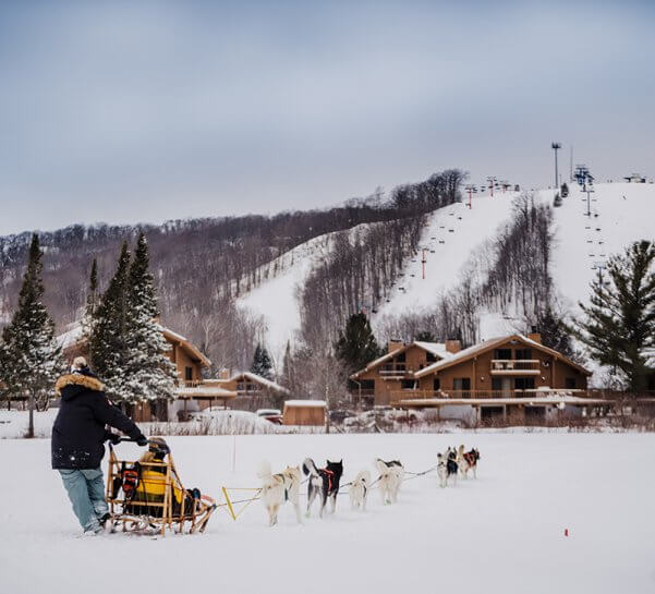 Dogsledding with Second Chance Mushers