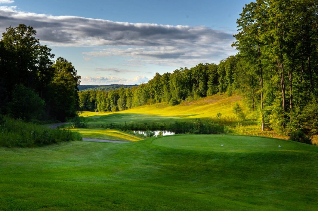 Hawk's Eye par 5 No 7