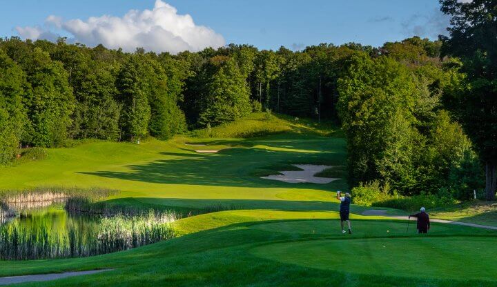 Hawk's Eye par 4 No 8