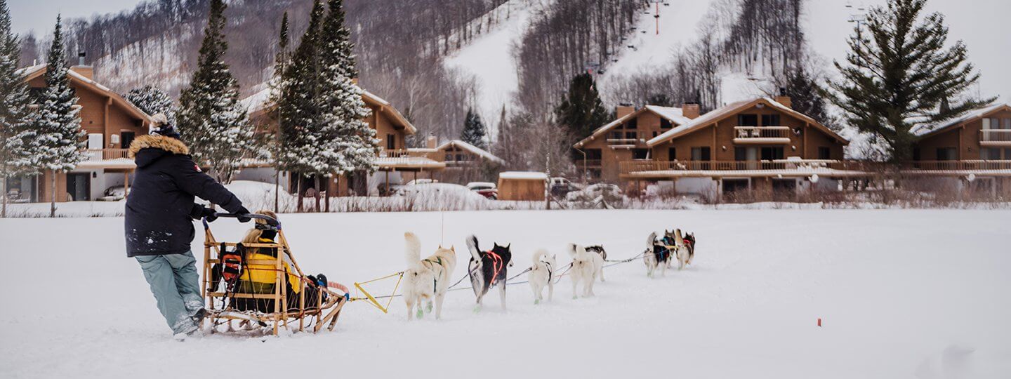 Dogsledding Towards Schuss Mountain