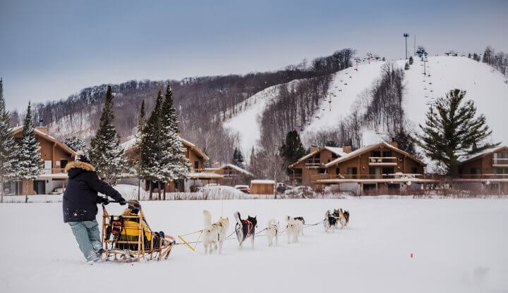 Dogsledding Towards Schuss Mountain