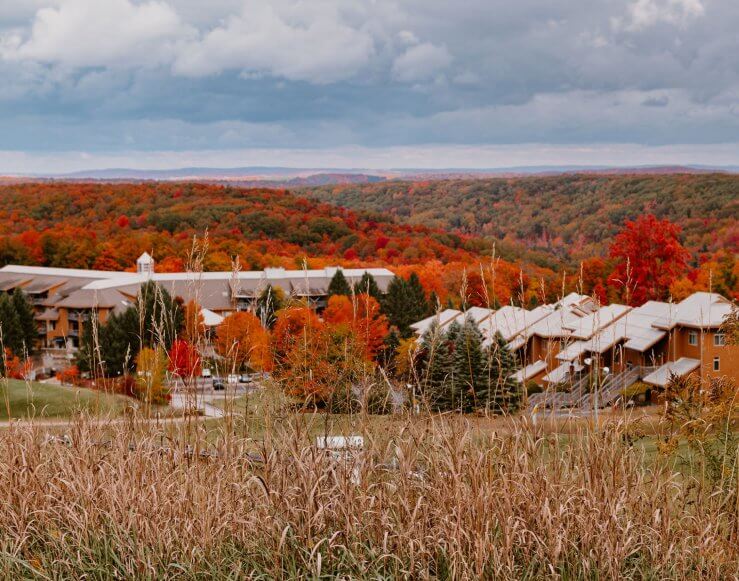 Cedar River Fall