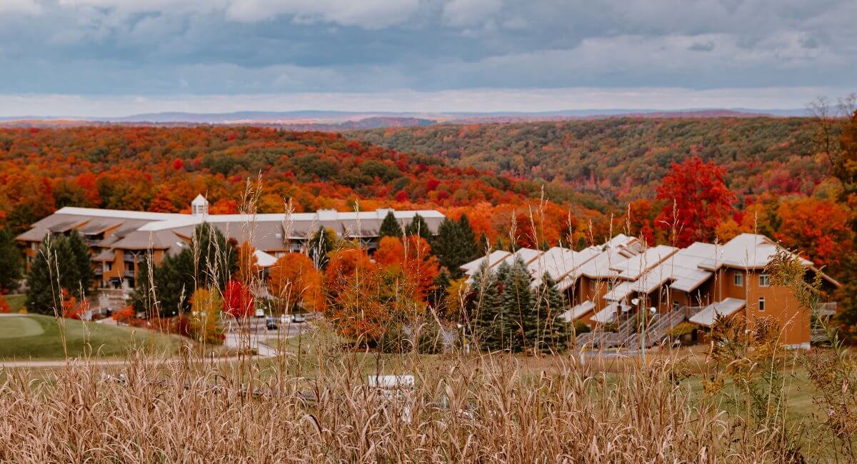 Cedar River Fall Colors