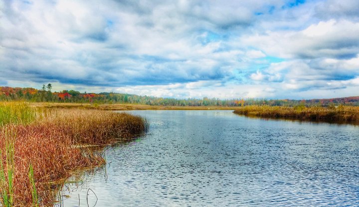 Fall Grass River