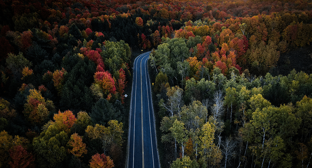 fall road