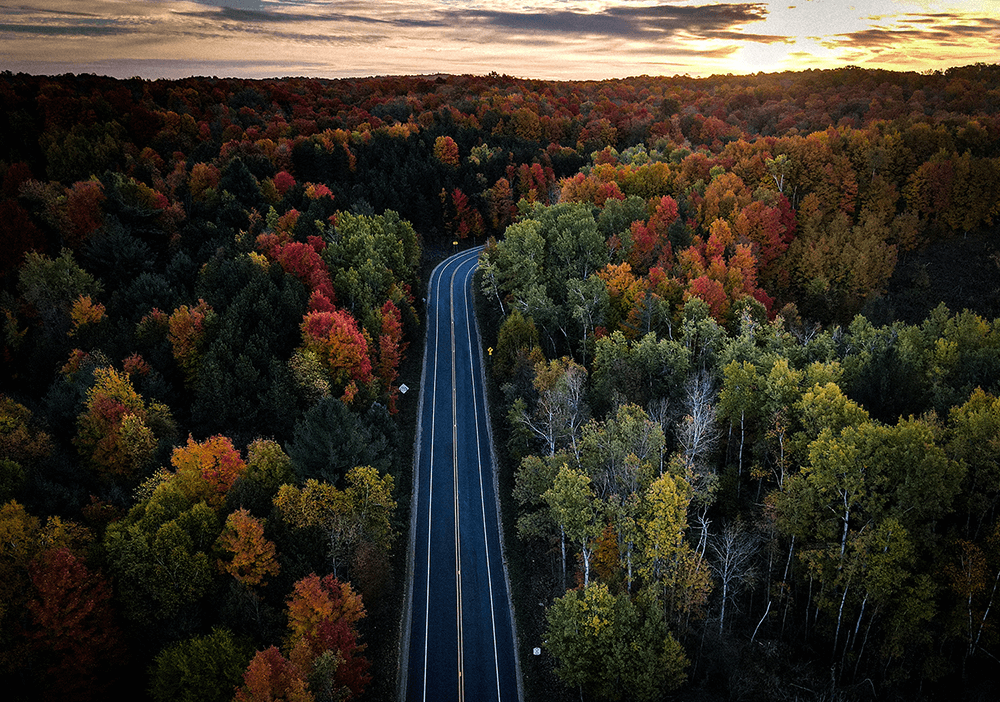 fall road